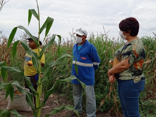Secretária Edneida Fortes visita assentamento para firmar parceria com agricultores familiares