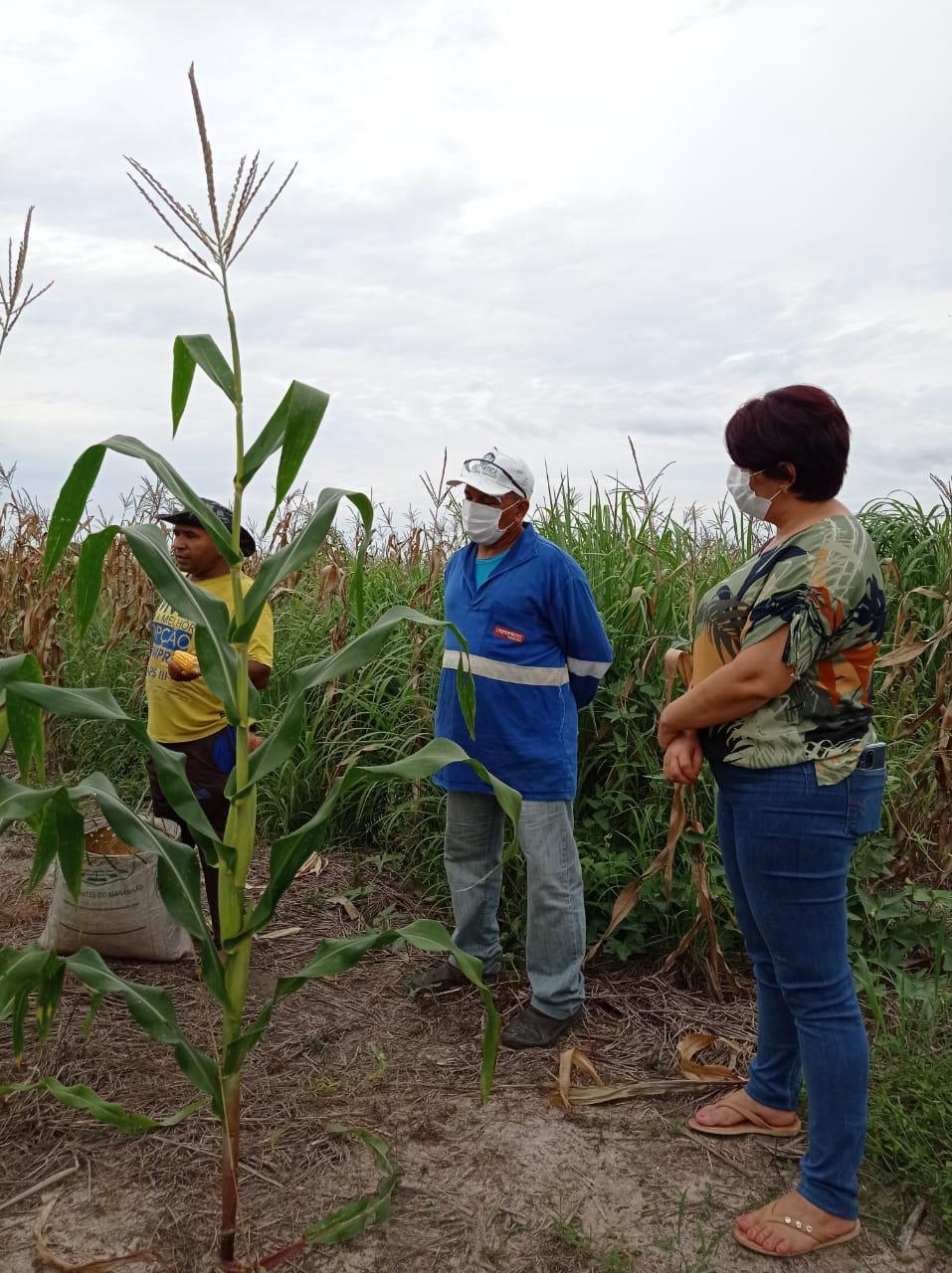 Secretária Edneida Fortes visita assentamento para firmar parceria com agricultores familiares
