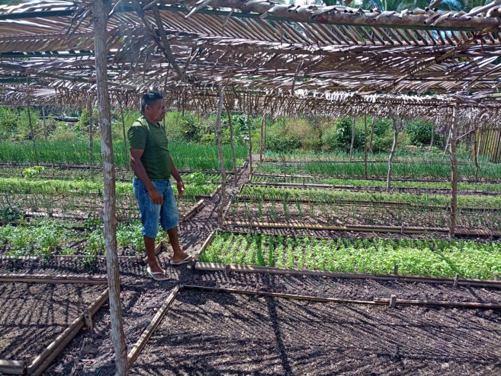 21 escolas de tempo integral de Barras já desenvolvem projetos de hortas educativas