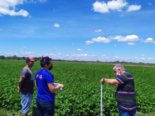 Prefeitura de Barras divulga chamada pública para compra de alimentos da Agricultura Familiar