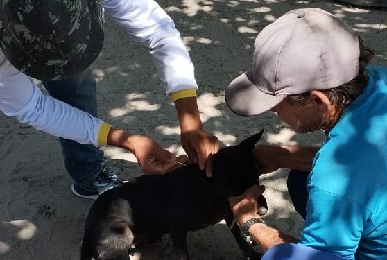 Secretaria de Saúde realiza ação de contenção da leishmaniose e da raiva canina