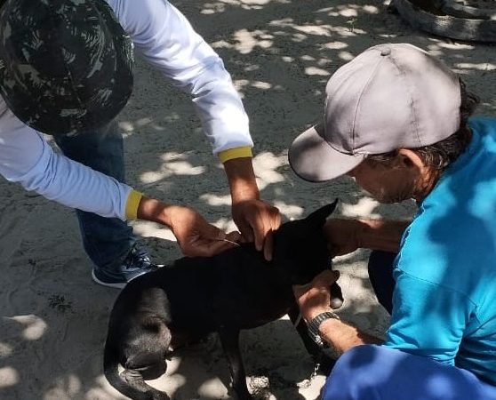 Secretaria de Saúde realiza ação de contenção da leishmaniose e da raiva canina