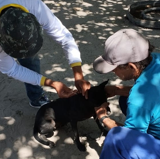 Secretaria de Saúde realiza ação de contenção da leishmaniose e da raiva canina