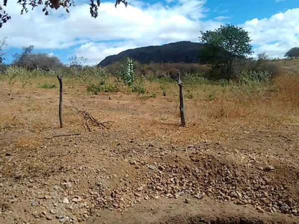 Secretaria de Meio Ambiente vai fiscalizar caieiras e extração de piçarra e areia