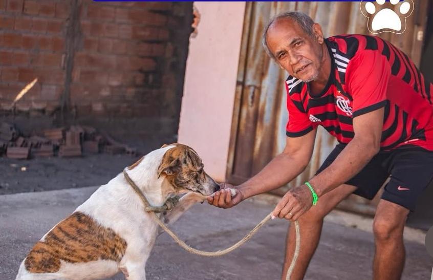 Campanha vacina cães e gatos em Barras